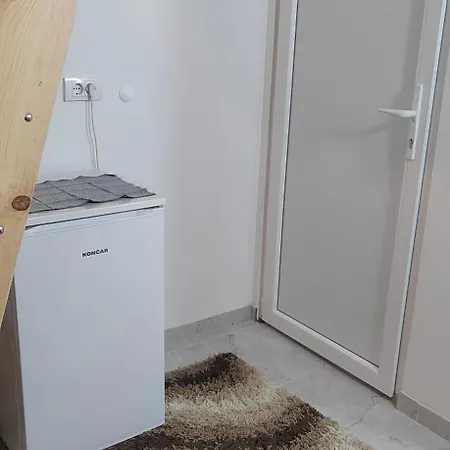 Boki Sremska Mitrovica